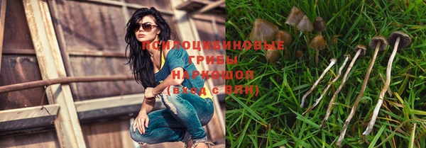a pvp Няндома