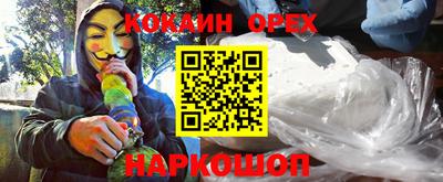 крисы Новозыбков