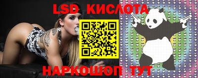 прущая мука Новодвинск