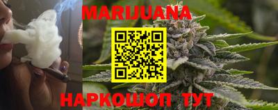 крисы Новозыбков