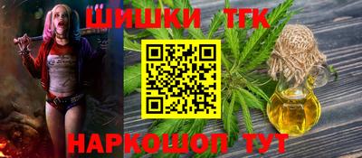 крисы Новозыбков