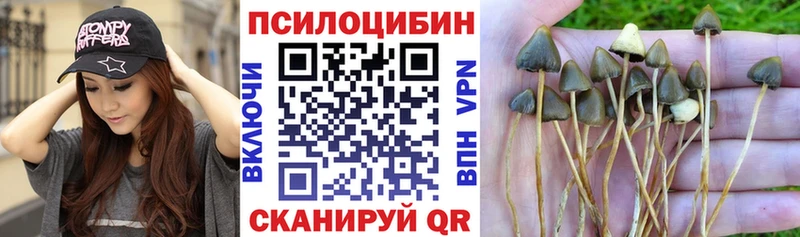 Галлюциногенные грибы ЛСД  закладки  Стрежевой 