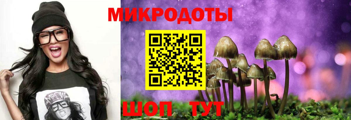 Псилоцибиновые грибы мухоморы Стрежевой