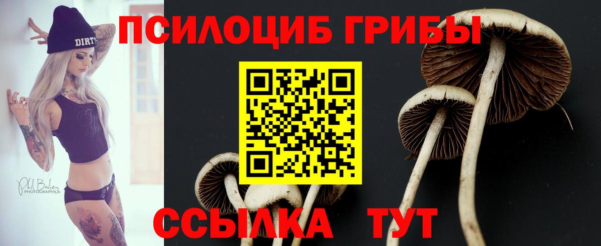 Галлюциногенные грибы MAGIC MUSHROOMS  Вход с VPN  купить наркоту  Галлюциногенные грибы мухоморы  Стрежевой 